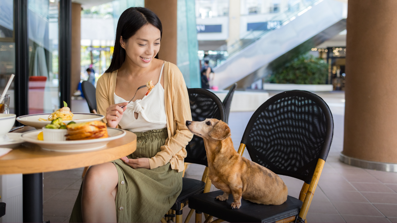 Pet-friendly restaurants take a seat at the table: OpenTable data